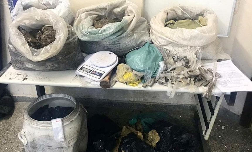Polícia localiza 60 kg de maconha enterrados em uma área na Vila de Abrantes
