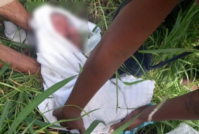 Após ouvir choro, mulher encontra bebê abandonado em matagal