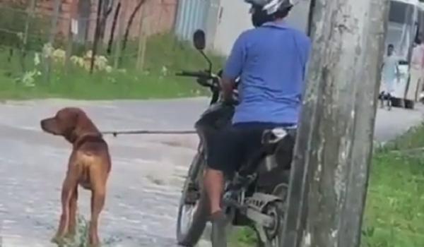 Homem é flagrado, em vídeo, puxando cachorro com motocicleta em movimento na Bahia; assista