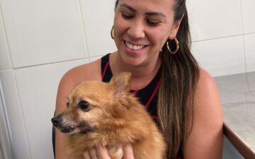 Outubro Rosa Pet: projeto da Ufba oferece tratameto acessível contra o câncer de mama em cadelas e gatas