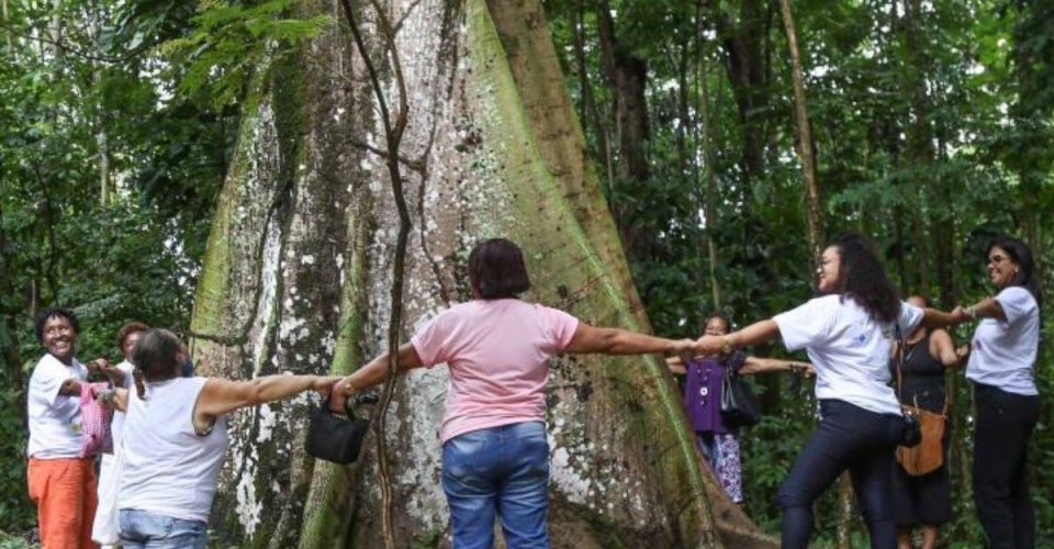Pacientes do Caps AD de Pernambués fazem passeio terapêutico no Jardim Botânico