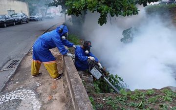 Cuidados, remédios e vacina: Aratu On explica o que você precisa saber sobre a dengue