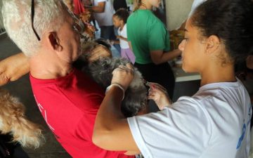 Vacina V10 para cães será oferecida gratuitamente em Marechal Rondon; confira