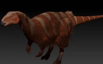 'Tietasaura': nova espécie de dinossauro baiano é batizado em homenagem ao livro 'Tieta do Agreste'