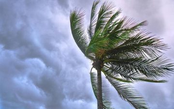 Ventos podem chegar a 61 Km/h no fim de semana na Bahia, alerta Marinha
